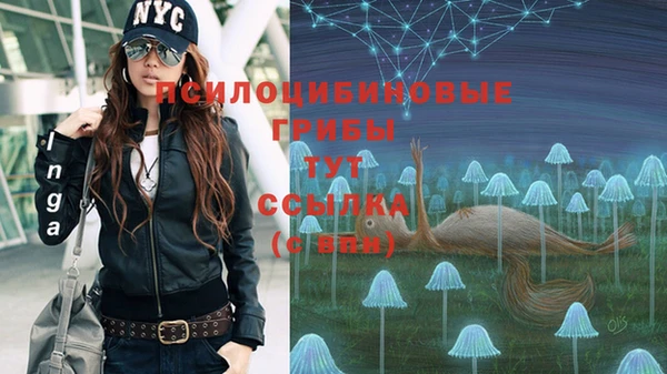 гашишное масло Няндома
