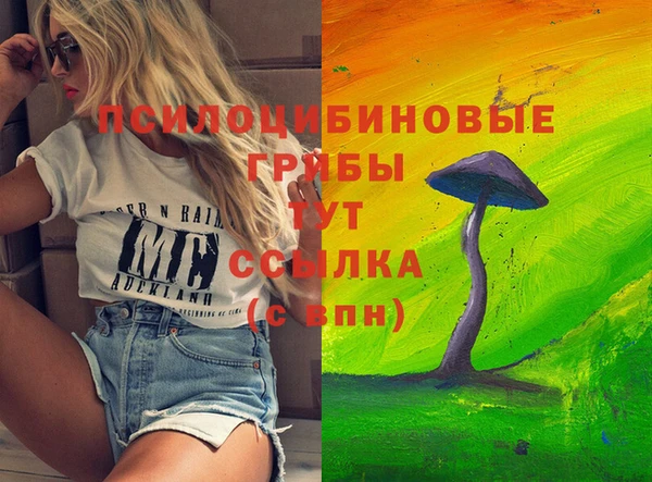 бошки Аркадак