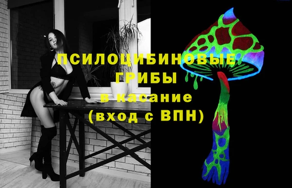 mix Арсеньев